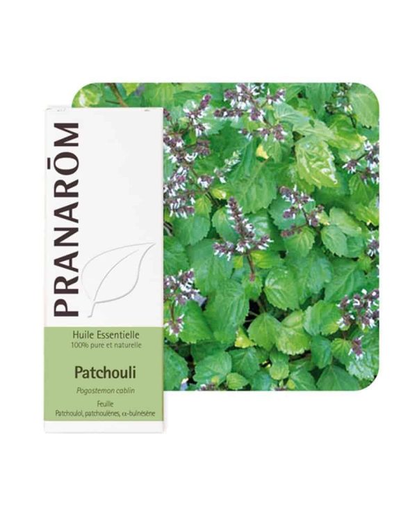 Pranarom, ätherisches Öl, 10 ml, Patschuli