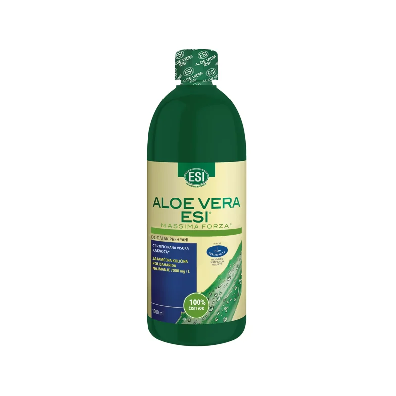 aloe vera pflanze pflanzen Aloe vera (Echte Aloe) kaufen